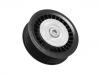 Idler Pulley:607 200 02 70