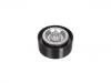 Idler Pulley:266 200 10 70